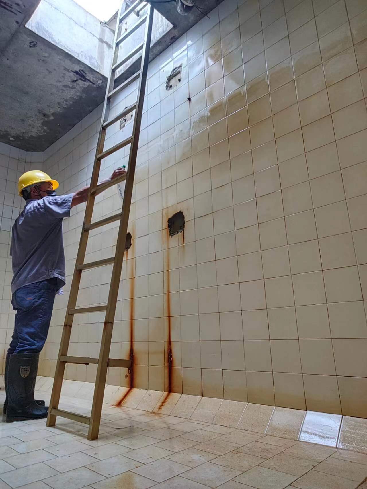 團(tuán)隊(duì)五